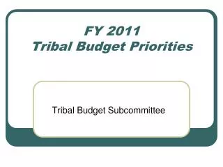 FY 2011 Tribal Budget Priorities