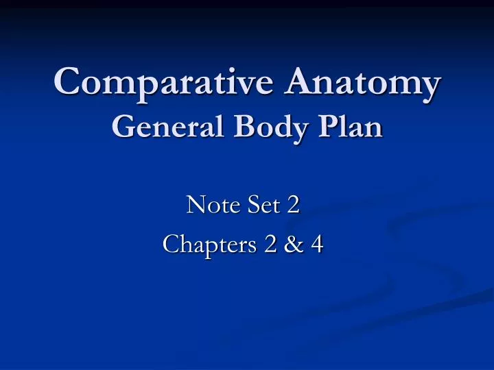 comparative anatomy general body plan