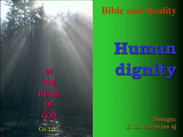 bible and reality human dignity design j l caravias sj