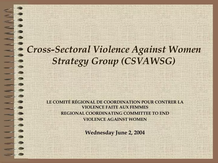 cross sectoral violence against women strategy group csvawsg