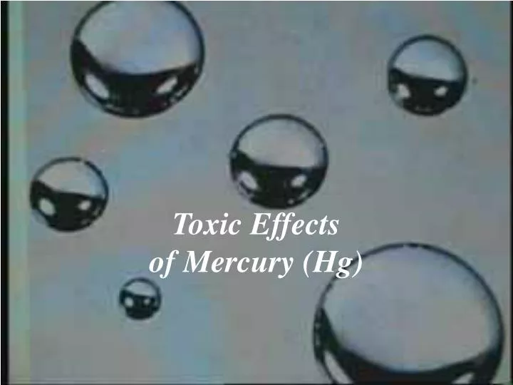 toxic effects of mercury hg