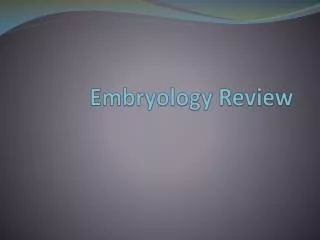 Embryology Review