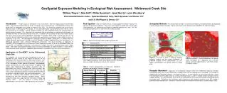 GeoSpatial Exposure Modeling in Ecological Risk Assessment: Whitewood Creek Site