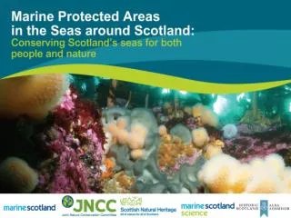 A new system for managing Scotland’s seas