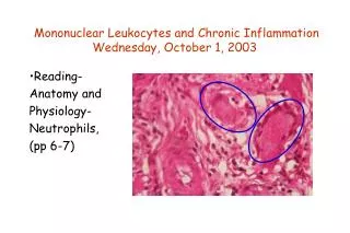 Mononuclear Leukocytes and Chronic Inflammation Wednesday, October 1, 2003