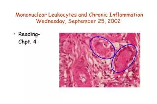 Mononuclear Leukocytes and Chronic Inflammation Wednesday, September 25, 2002