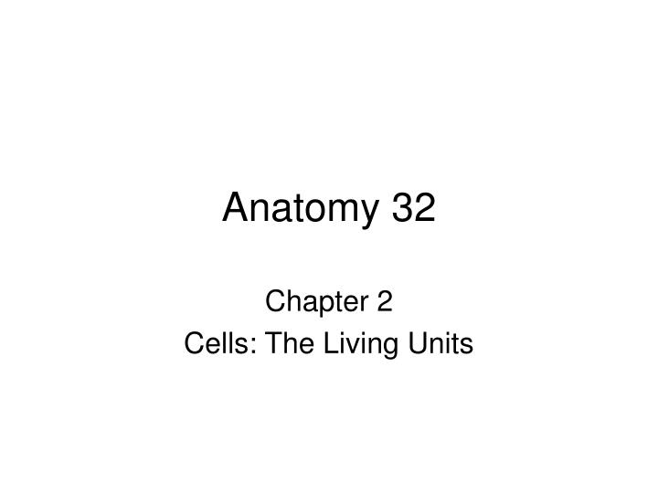 anatomy 32