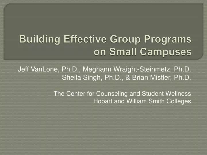 building effective group programs on small campuses
