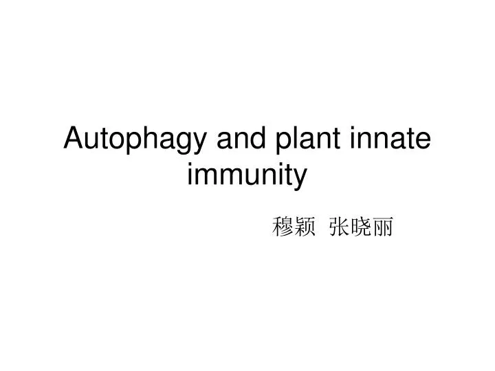 autophagy and plant innate immunity