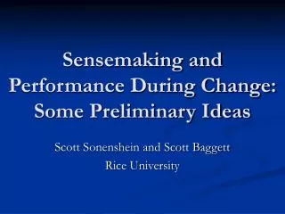Sensemaking and Performance During Change: Some Preliminary Ideas