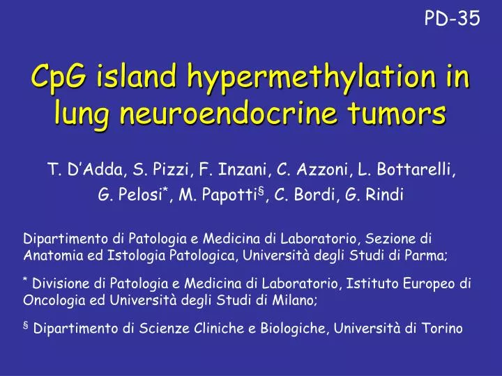 cpg island hypermethylation in lung neuroendocrine tumors