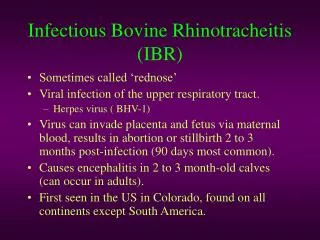 Infectious Bovine Rhinotracheitis (IBR)