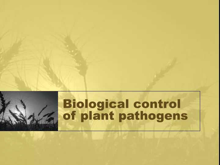 biological control of plant pathogens