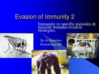 Evasion of Immunity 2