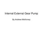 Internal External Gear Pump