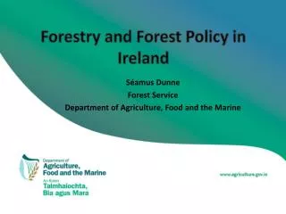 Forestry and Forest Policy in Ireland