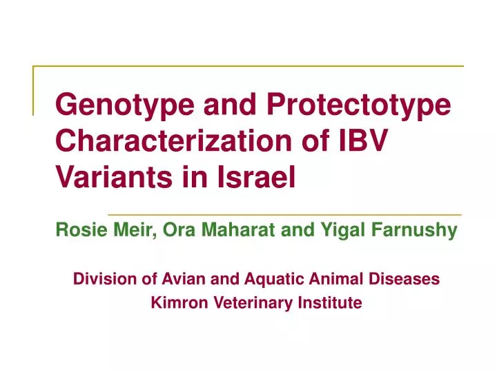 genotype and protectotype characterization of ibv variants in israel