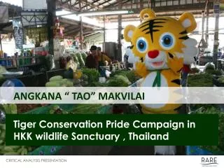 ANGKANA “ TAO” MAKVILAI Tiger Conservation Pride Campaign in HKK wildlife Sanctuary , Thailand