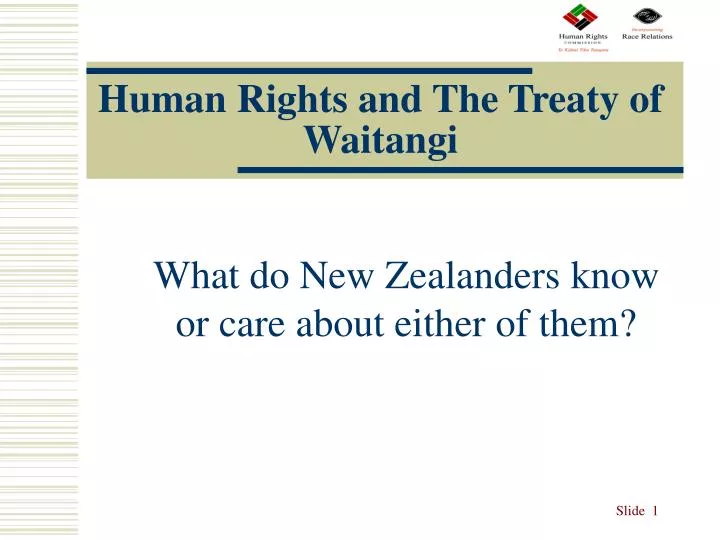 human rights and the treaty of waitangi