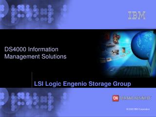 LSI Logic Engenio Storage Group
