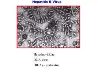 Hepadnaviridae DNA-virus HBsAg - ytstruktur
