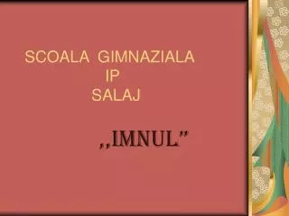 scoala gimnaziala ip salaj