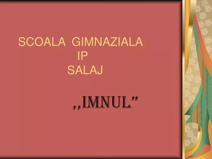 scoala gimnaziala ip salaj