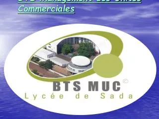 bts management des unit s commerciales