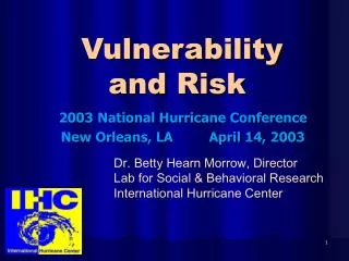Vulnerability and Risk