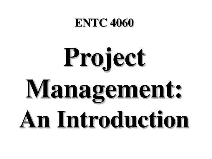 project management an introduction