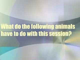 What do the following animals have to do with this session?