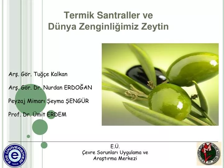 termik santraller ve d nya zenginli imiz zeytin