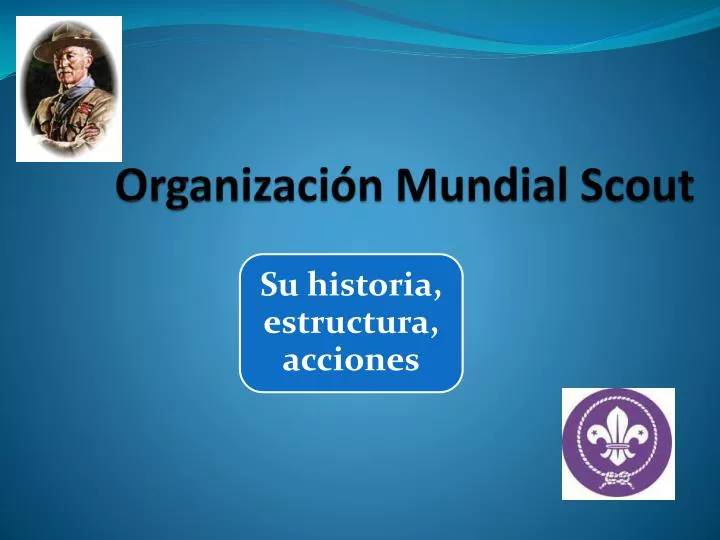 organizaci n mundial scout