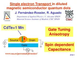 Single electron Transport in diluted magnetic semiconductor quantum dots