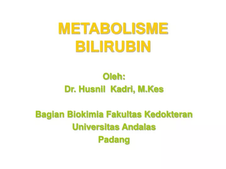 metabolisme bilirubin