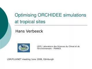 Optimising ORCHIDEE simulations at tropical sites