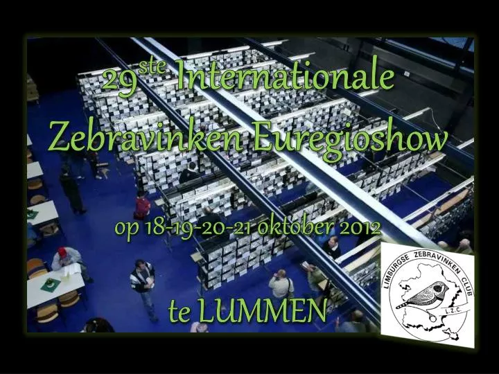 29 ste internationale zebravinken euregioshow op 18 19 20 21 oktober 2012 te lummen