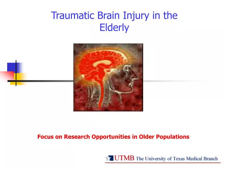 traumatic brain injury in the elderly