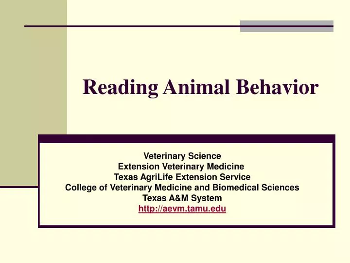 reading animal behavior
