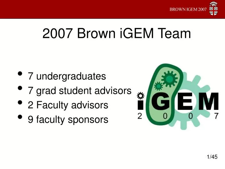 2007 brown igem team