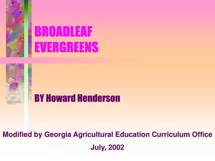 broadleaf evergreens