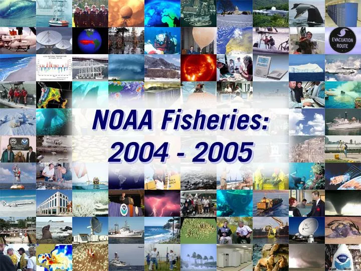noaa fisheries 2004 2005