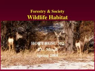 Forestry &amp; Society Wildlife Habitat
