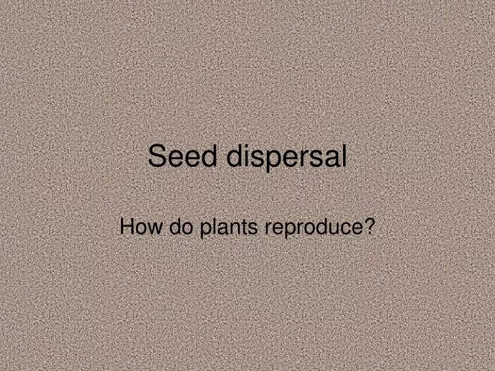 seed dispersal