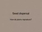 Seed dispersal - slide 1