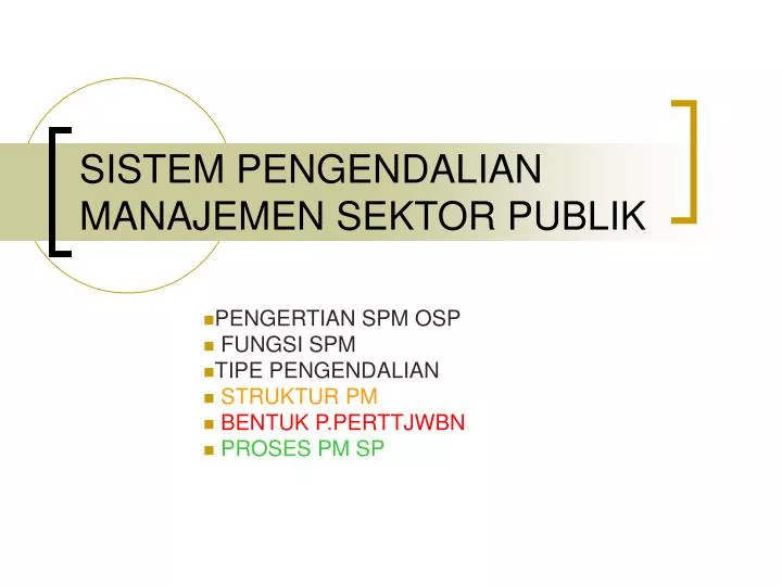 sistem pengendalian manajemen sektor publik
