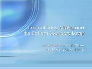 Internal Tides, Mixing and the Bottom Boundary Layer