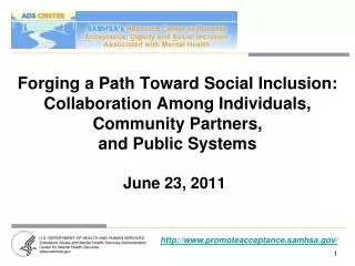 Forging a Path Toward Social Inclusion: Collaboration Among Individuals, Community Partners, and Public Systems