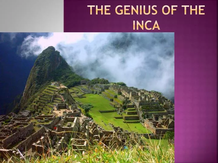 the genius of the inca