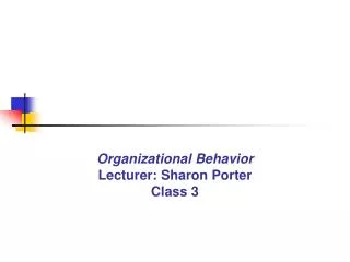 Organizational Behavior Lecturer: Sharon Porter Class 3